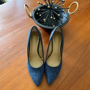 Ann Taylor Blue Heels Elegant and Versatile